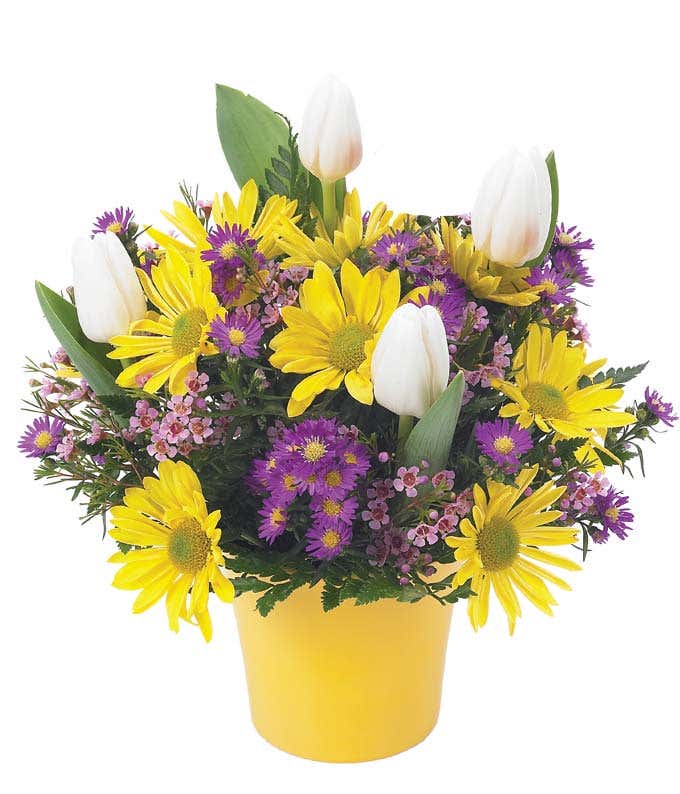 Yellow daisies and tulips