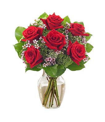 Half dozen red roses for delivery in red vase