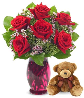 6 Red Roses delivered with teddy bear