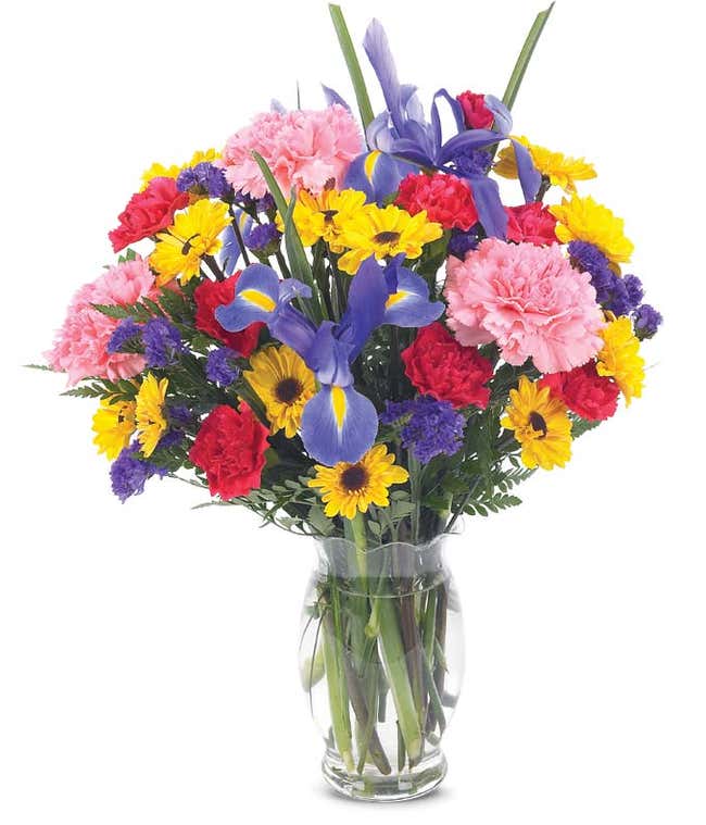 Pink carnations, iris, red carnations in a glass vase