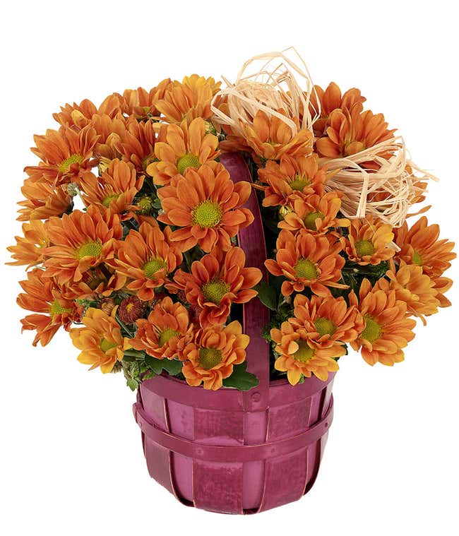 Orange Daisy Basket