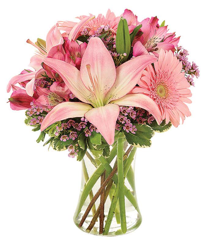 Pink Gerbera Daisies and Pink Lilies for Valentine's Day