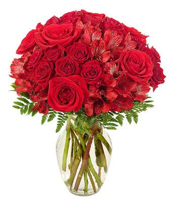Red rose are arranged with red spray roses and red alstroemeria