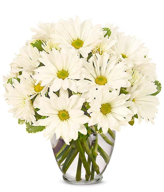 White Daisy Bouquet