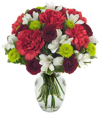 Red carnations, green poms and white alstroemeria delivered