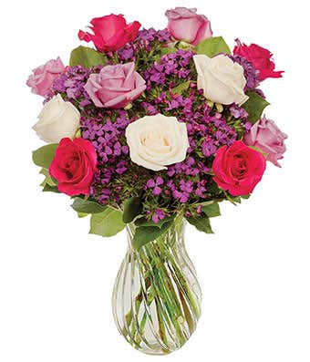 One Dozen Romantic Roses For You