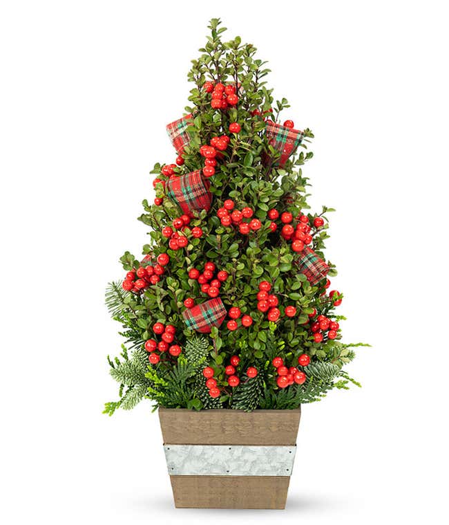 Boxwood Christmas floral arrangement decorated with red and green plaid ribbon, and red berries. in a wooden box container.