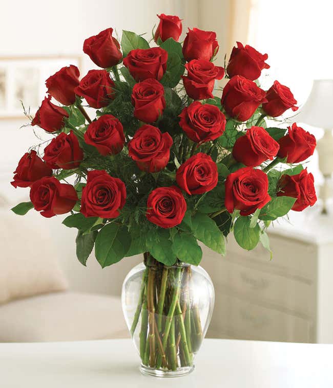 Two Dozen Premium Long Stem Red Roses