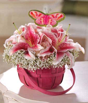 Stargazer lilies, pink hydrangea and baby's breath in pink basket