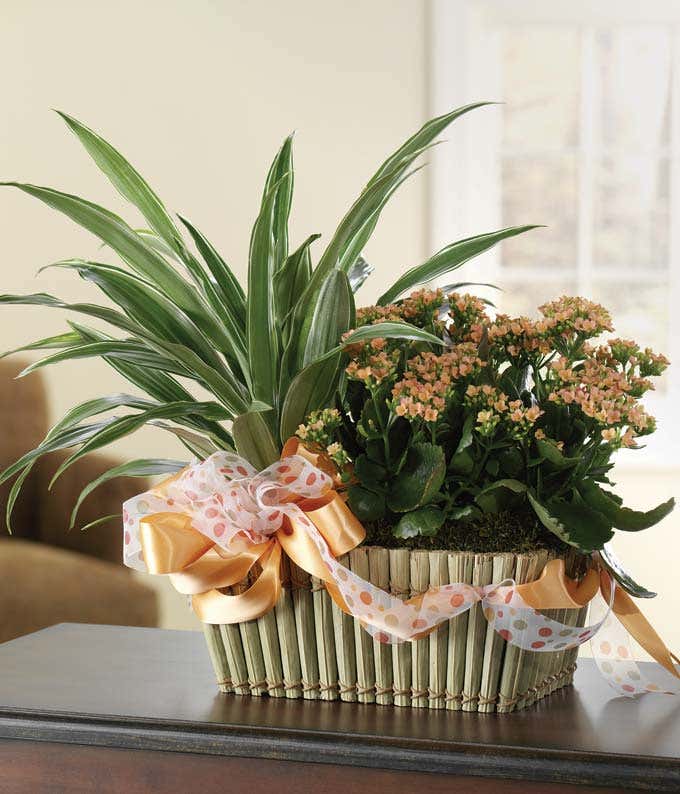 Bountiful Blooming Garden Basket