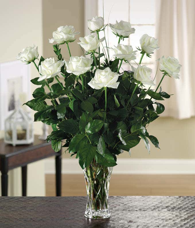 White dozen rose arrangement with Lenox vase