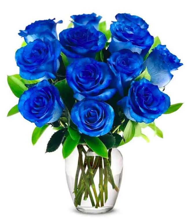 One Dozen Blue Jewel Roses