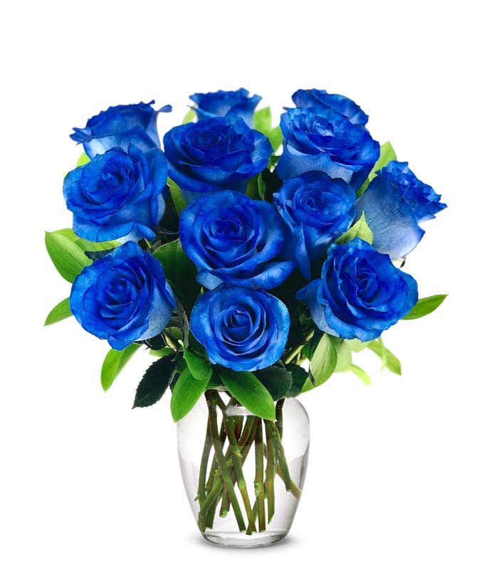 One Dozen Blue Roses