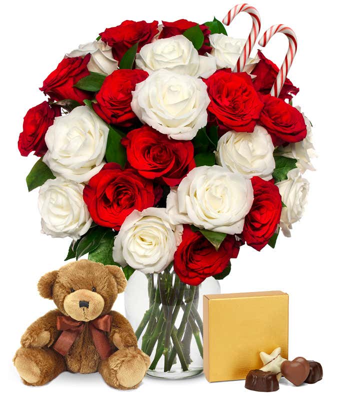 Two Dozen Candy Cane Roses with Chocolates and Bear