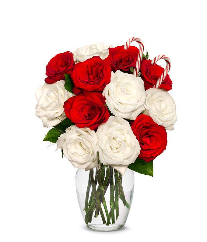 Sweet Candy Cane Rose Bouquet
