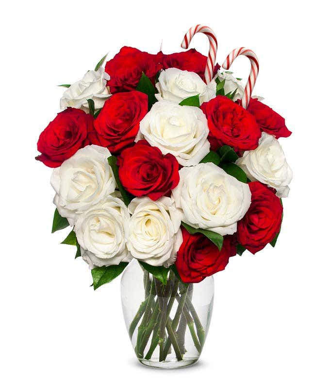 Sweet Candy Cane Rose Bouquet 