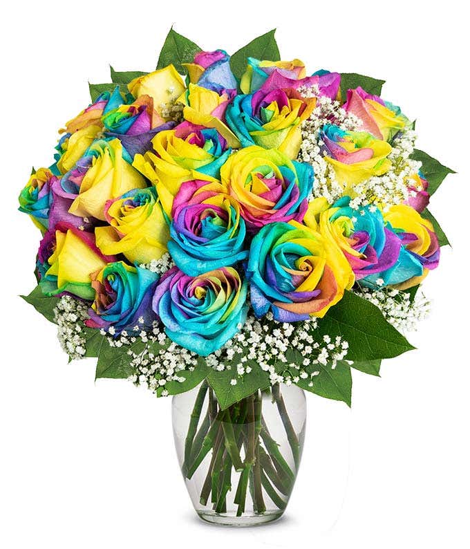 Two dozen rainbow roses