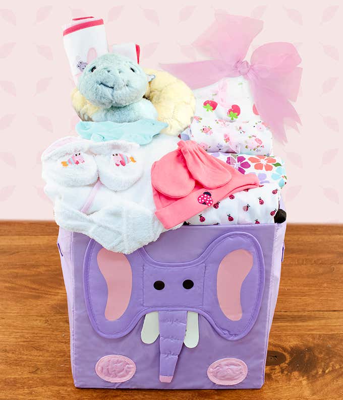 Beautiful Baby Outfits Gift Basket - Pink