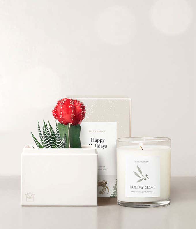 Happy Holidays Joy Succulent Gift Set