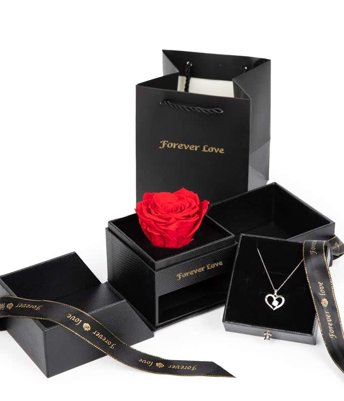 Forever Rose & Necklace Gift Set