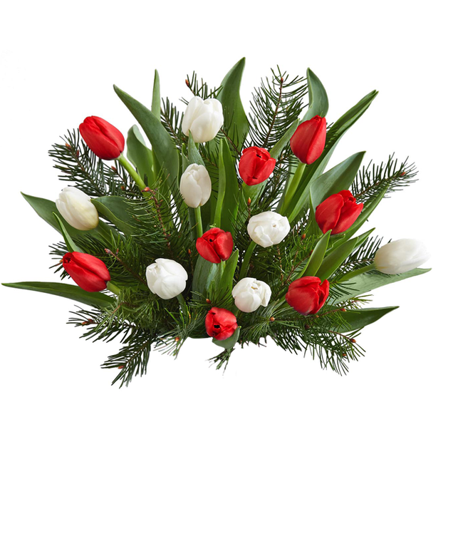 Partial image of Christmas tulips for delivery in a red vase.  without vase