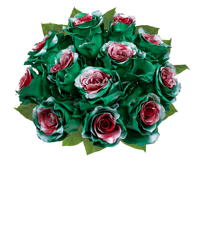 Partial image of Holly Jolly Christmas Roses without vase